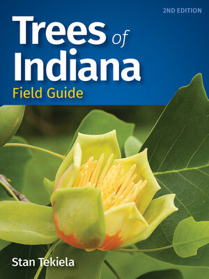 cover image of Trees of Indiana Field Guide